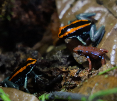 Skärmavbild 2024-06-10 kl. 21.02.12.png