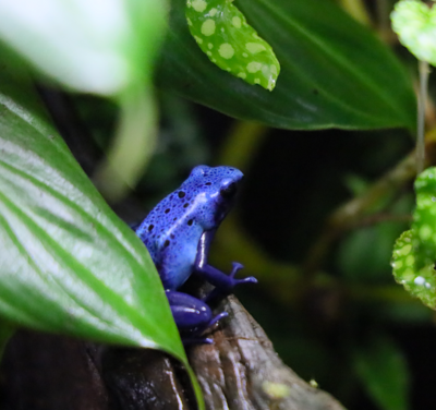 Skärmavbild 2024-06-10 kl. 21.00.36.png