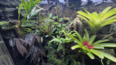 Her er moder-veksten :-)