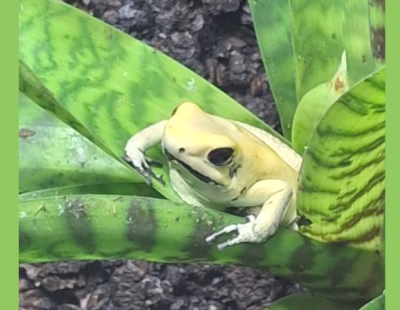 Skärmbild 2025-10-14 200903.png