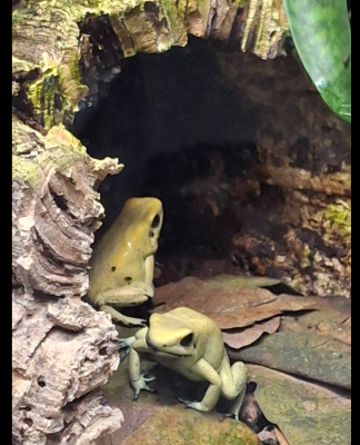 Skärmbild 2025-11-14 150116.png