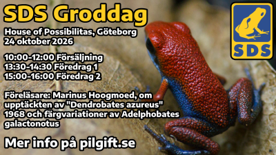 Groddag-höst2026.png